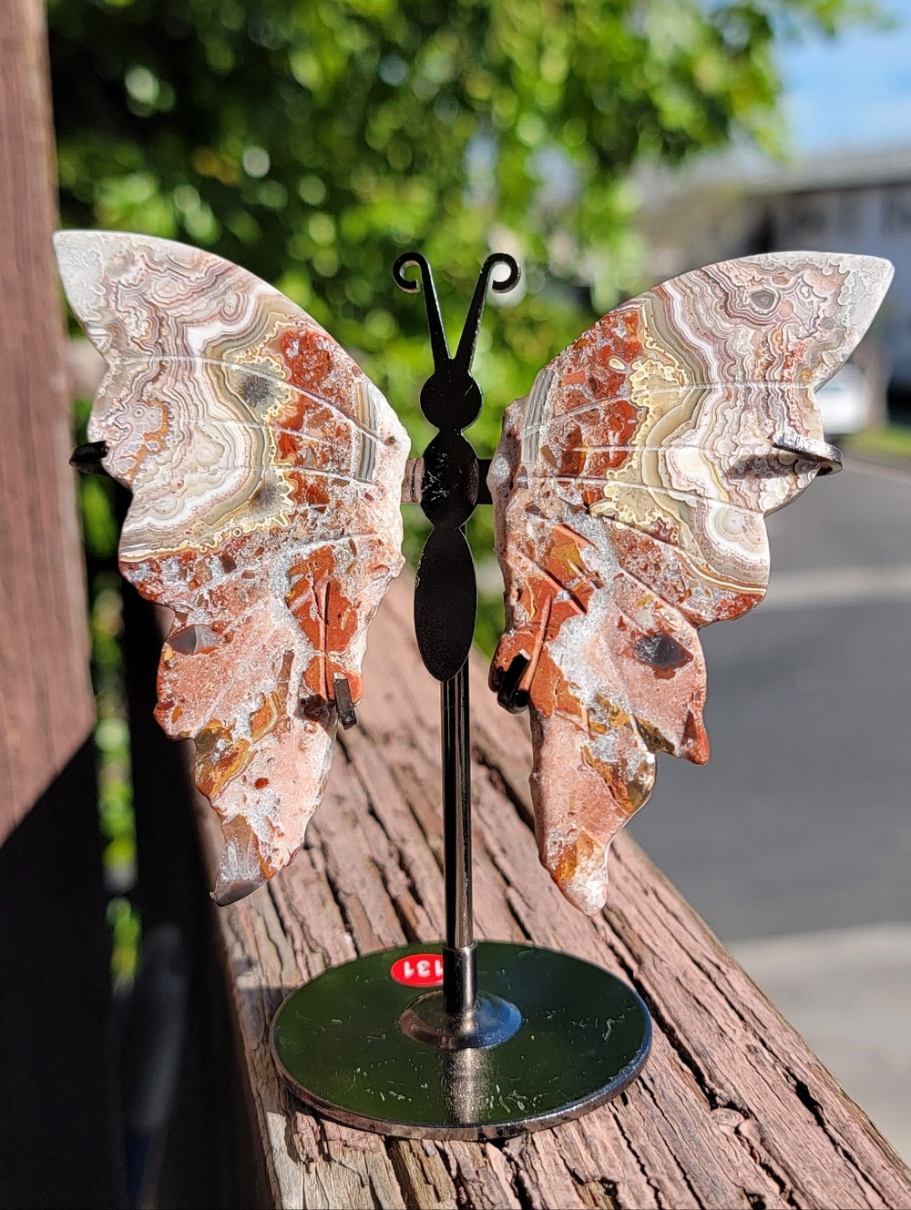 NEW 5" x 4.5" MEXICAN CRAZY LACE AGATE WINGS ON STAND